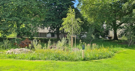 Aufwertung Gr&uuml;tliweg